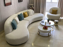 雅迪澳 布艺沙发 设计师异形沙发现代别墅客厅意式轻奢羊羔绒多人半圆弧形家具 单椅【科技布】 实拍图