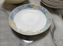浩雅景德镇陶瓷盘餐盘汤盘菜盘深盘饭盘可微波时光漫步8英寸2个装 实拍图
