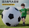 TaTanice户外玩具充气大足球幼儿园专用草坪草地巨型皮球儿童男孩生日礼物 实拍图