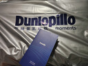 邓禄普（Dunlopillo）星炫波浪枕 斯里兰卡进口天然乳胶枕特拉雷Talalay工艺 实拍图
