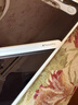 Apple/苹果 Pencil Pro 磁吸触控笔手写笔苹果笔电容笔书写绘画ipad笔 适用于iPad Pro/Air/mini机型 实拍图