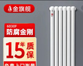金旗舰暖气片家用钢制水暖壁挂式全屋暖气定制集中供暖自采暖立式散热器 防腐金刚60F-高1500mm 6分口 实拍图
