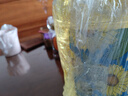 金龙鱼 食用油 葵花籽清香型调和油5L （新老包装随机发货） 实拍图