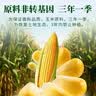 秦晋雪现磨山西新玉米面粉新鲜食用优质农家玉米粉苞米面窝窝头杂 现磨细玉米面1000g*2袋 实拍图