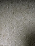 十月稻田 25年新米 特等五常大米 绿色食品 10斤(溯源 原粮稻花香2号 5kg) 实拍图