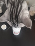 申亚威能（SHENYA）宠物深海鱼油片猫咪狗狗防掉毛护肤美毛猫犬营养鱼肝油 实拍图