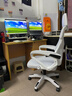 锦汐 电脑椅家用办公椅子靠背人体工学椅学习转椅老板座椅游戏电竞椅 【二代升级款】白框灰网 实拍图