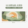 昕科加热鼠标垫办公室桌面电脑加热垫暖手宝电暖加热暖桌宝绿野仙踪 实拍图