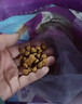伟嘉成猫猫粮1.3kg牛肉味布偶蓝猫橘猫加菲英短猫咪夹心粮全价粮 实拍图