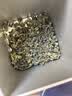 安溪铁观音乌龙茶清香型特级500g轻火袋装 自饮送礼送长辈茶叶 实拍图