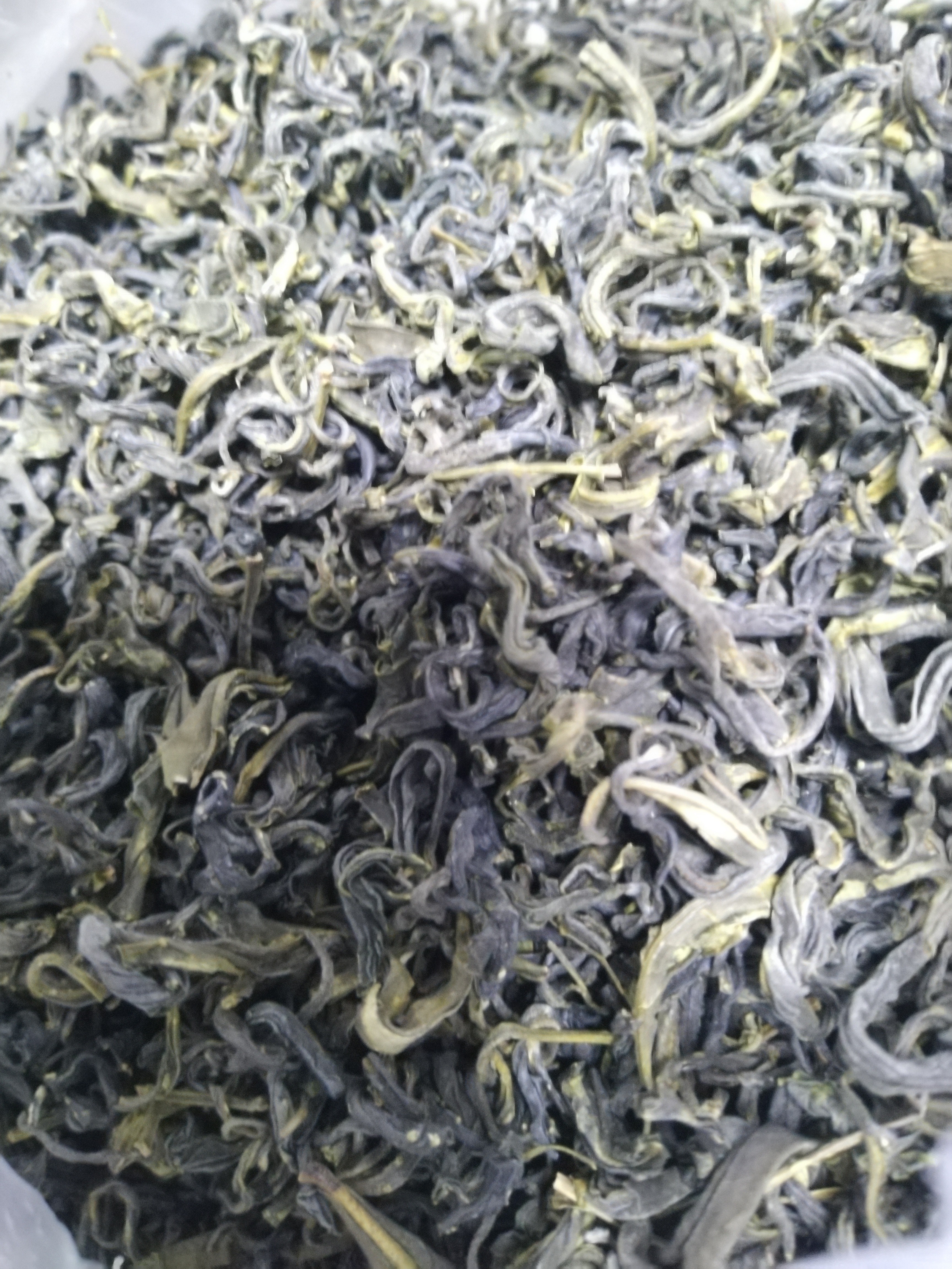 崂茗青岛崂山绿茶浓香型500g袋装茶叶高山云雾豌豆香绿茶叶送礼耐泡 实拍图
