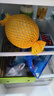 京鲜生 海南哈密瓜西州蜜/西周蜜 3-4粒 10斤起 生鲜水果礼盒 实拍图