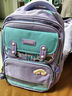 Edison爱迪生小学生书包女孩护脊减负大容量防泼水反光儿童背包24016-6 实拍图