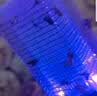 小米宝宝灭蚊灯灭蚊神器驱蚊灯驱蚊捕蚊器吸蚊灯婴儿灭蚊器黑科技室内户外 标准款【充电】300㎡诱捕 实拍图