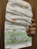 花王品牌进口妙而舒纸尿裤XL44片(12-17kg)加大号尿不湿宝宝安心畅玩 实拍图