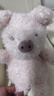 Jellycat小猪可爱公仔动物毛绒玩偶小玩偶娃娃送礼生日礼物 粉红色 Little 实拍图