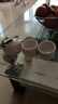页川百世（YeChuan Best）旅行功夫整套茶具车载户外便携快客杯陶瓷茶具商务送礼佳品 月白一壶四杯 实拍图
