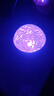 爆款北极光投影灯台灯星空灯卧室浪漫情调房间顶极光氛围暖光灯睡眠礼物男女实用直播卧室投影灯 极光16色炫彩呼吸投影氛围灯（基础非遥控款） 实拍图