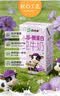 西域春A2β-酪蛋白纯牛奶 125ml*16盒整箱 3.8g蛋白儿童纯牛奶新疆牧场  实拍图