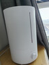 米家小米加湿器3 家用卧室大容量办公室桌面轻音空气加湿器 MJJSQ07DY礼品保湿送女生 实拍图