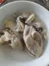 一虾一世界鲜活乳山生蚝带壳/现剥速冻去壳生蚝肉 新鲜牡蛎海蛎子 火锅烧烤 【4-6两】生蚝净重5斤 8-12只 实拍图