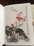新编养心斋描摹画谱 小写意花卉1 实拍图