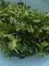 芒果干原切果脯办公室休闲零食酸甜果脯蜜饯精选 l净含量 芒果干250g*1袋 实拍图