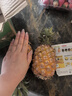 十里馋海南金钻凤梨当季水果手撕菠萝香水新鲜小菠萝整箱批发 2枚优选装 净重2.5-3斤 实拍图