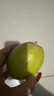 京鲜生 新疆库尔勒香梨 净重10斤 特级 单果120g+ 生鲜水果 实拍图