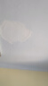 立邦补墙膏墙面修复防水防霉抗菌墙面修补膏堵洞腻子膏白色1kg 实拍图
