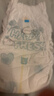 帮宝适超薄透气清新帮拉拉裤新生儿婴儿尿不湿尿片透氧Pro mini L30 实拍图