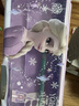 迪士尼（Disney）流沙文具盒 女孩儿童小学生多功能塑料铅笔盒双层笔袋笔盒学习用品开学清单 艾莎公主DM28845F2 实拍图