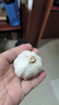 紫白皮蒜水果大蒜超市即食生鲜蔬菜大蒜 [活动]8头 200g 单果3.5-5cm 实拍图