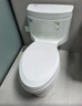 科勒（KOHLER）希玛龙丽裙版连体坐便器马桶 家用缓降虹吸马桶小户型马桶5697T 希玛龙连体坐便器-305坑距 实拍图