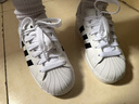 阿迪达斯adidas三叶草  贝壳头SUPERSTARII 休闲鞋IH8659 35.5 实拍图
