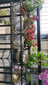 安尔雅花架阳台装饰多层家用置物架户外铁艺花架子客厅绿萝多肉花盆架 实拍图