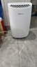 德业（Deye）除湿机/抽湿机 除湿量12升/天 20㎡家用轻音地下室干衣机除湿器 母婴养宠 银离子抗菌DYD-B12A3 实拍图