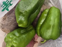 青椒约400g 实拍图