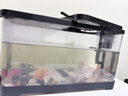 阔庭（KUOTING）鱼缸桌面透明生态鱼缸客厅水族箱黑色 实拍图