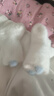 贝比婴儿袜子冬季幼儿加厚加绒宝宝秋冬仿貂绒保暖袜0-6月 实拍图