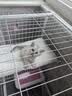 京喜自营-专用品牌猫笼子超大室内猫别墅多层猫舍送货上门 方管款-白色双层78*55*100 套餐二：七件套 实拍图