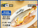 三都港 洄游季带籽黄花鱼1.1kg/条 大黄鱼 深海鱼 生鲜 鱼类 海鲜水产 实拍图
