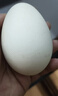 鹤农益得鹅蛋新鲜生鹅蛋农家喂养孕妇蛋生鲜杂粮散养精品礼盒装 6枚 720g 单枚120~150克左右 实拍图