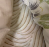 洁丽雅（Grace）A类7A抗菌100%纯棉床单被单单件家用床罩 230*245cm 卡其云纹 实拍图