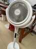松下空气循环扇家用直流变频电风扇落地扇3D立体广角送风 新品上市循环扇F-CW1901C-W 实拍图
