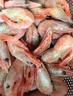 禧美海产 黑头北极甜虾10斤 90-120+规格 源头直发海藻头 原箱 海鲜水产 实拍图
