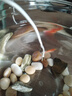 鱼缸温度计水族专用高精度电子数显测水温计冰箱空调冷柜养殖通用 探头数显温度计-1米-白色 实拍图