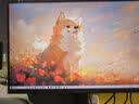 雷神27英寸2K 210Hz Fast IPS 硬件低蓝光 升降旋转HDR500nit峰值内置音箱电脑显示器JQ27F210L-Pro 实拍图