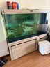 宠翰 石英纳米细菌屋水族底滤石英纳米硝化细菌屋鱼缸净水过滤材料 实拍图