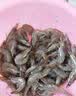 三座海 烟台海捕虾 1000g 40-50只 大虾明虾鲜活冷冻基围虾大对虾 海鲜水产  实拍图